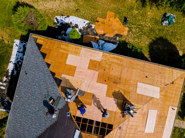 Roof Waterproofing Services in Hasley Canyon, CA