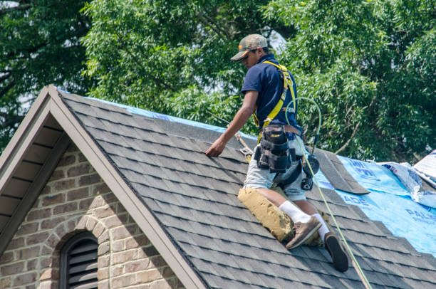 Best Roof Waterproofing Services  in Hasley Nyon, CA